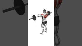 Barbell Upright Row [upl. by Neural]