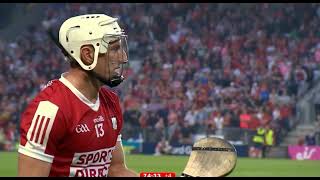 LAST MINUTE  CELEBRATIONS  CORK V LIMERICK  2024 MUNSTER HURLING CHAMPIONSHIP [upl. by Tidwell]