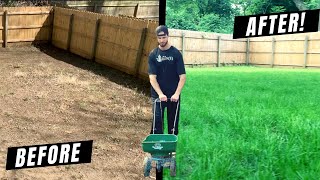 How to Grow a Lawn From Scratch DIY Guide  Lessons Learned [upl. by Airdnala556]