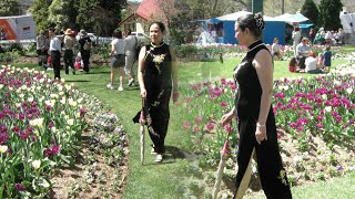 4k ❤️🇦🇺 Mùa Hoa Tulip  2008 Spring Festival  Bowral NSW Australia [upl. by Lange]