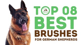 Best Brushes for German Shepherds [upl. by Aicrop883]