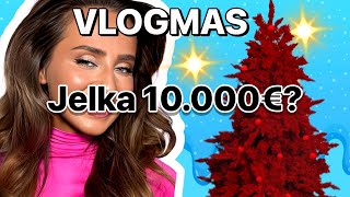 KITIM JELKU OD 10000€VLOGMAS 1 [upl. by Enirahtac]