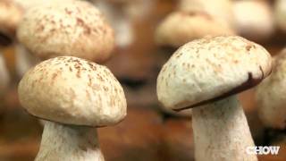 How to Make Meringue Mushrooms  CHOW Tip [upl. by Beverlee296]