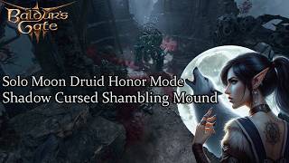 Solo Moon Druid Shadow Cursed Shambling Mound Honor Run [upl. by Nnail]