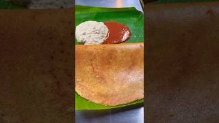 Dosa Dosa Dosa…😋😋🥰dosa foodies breakfast food trending shots ytshorts [upl. by Bascomb]