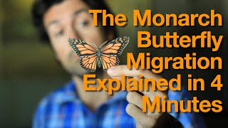 Monarch Butterfly Migration Explained in 4 Minutes [upl. by Enilhtak]