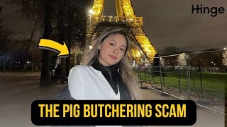 An Encounter with a Singaporean Crypto Scammer on Hinge Dating app  Pig Butchering Scam [upl. by Tome119]