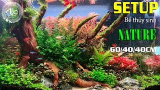 SETUP Bể thủy sinh phong cách tự nhiên  Setup Aquarium Nature  Tank 604040cm kenhthuysinh p50 [upl. by Carvey]