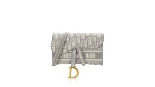 Christian Dior Oblique Slim Saddle Pouch Grey [upl. by Eldrida]