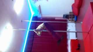 Anastasia Sokolova amp Dmitry Politov 2013 pole fun [upl. by Nine]