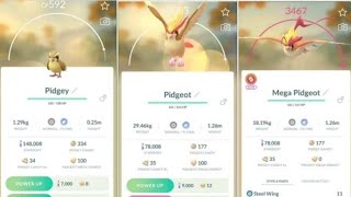 Evolving Pidgey to Pidgeot and Mega Evolving into Mega Pidgeot in Pokémon GO 🕊️ [upl. by Narej]