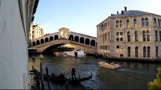 Exploring the Rialto Bridge The Iconic Landmark of Venice [upl. by Nerraw559]