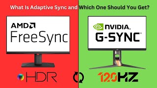 FreeSync vs GSync Explained Which One Is Better In 2024 [upl. by Omer159]