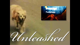 Unleashed YouTube Era Mix PrestigeProds [upl. by Aisatan356]