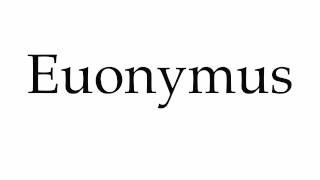 How to Pronounce Euonymus [upl. by Ray]