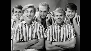 The Beach Boys  Apple Bottom Jeans 1966 [upl. by Musetta982]