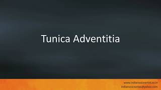 Pronunciation of the words quotTunica Adventitiaquot [upl. by Brander]