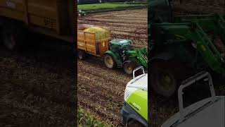 Maize Harvest 2024🚜 shorts johndeere claas maize viral drone [upl. by Halimaj]