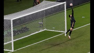 Thibout Courtois Vs Brasil  All Saves  World Of Cup 2018 [upl. by Sewel829]