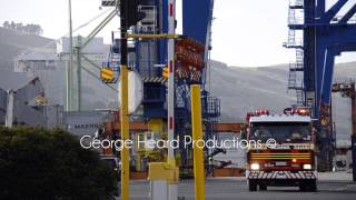 Port Otago Crane Crash [upl. by Haag]