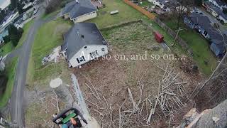 Large Cottonwood Trees Down [upl. by Ahsilet106]