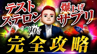 【全てわかる】テストステロンを高める神サプリ９選！【2023年最新版】 [upl. by Nylynnej325]