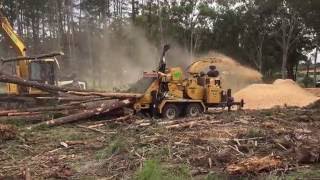 Whole tree Chipping with our vermeer BC2100xl ARBORMAN [upl. by Gnilyarg]