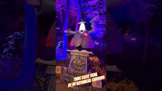 Mayor of Halloween Town Takes Over the NY Botanical Gardens [upl. by Hendrick]