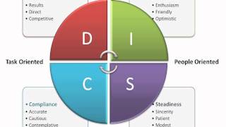 DISC Assessment [upl. by Nelyahs]