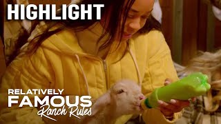 quotRelatively Famous Ranch Rulesquot Celeb Kids Help Feed Lambs  Relatively Famous  E [upl. by Netsriik]