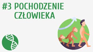 Pochodzenie człowieka 3  Ewolucja życia [upl. by Aneelas]