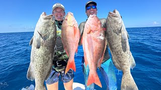 Adventure Of Grouper Season Opener in South Florida [upl. by Eadahs]