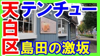 【365日 名古屋旅】名古屋市天白区島田周辺の坂道を電動アシスト自転車で走る旅路。特に名古屋市立天白中学（テンチュー）あたりの坂道は激坂で、ヤバかった。2023年10月撮影。No541 [upl. by Almallah]