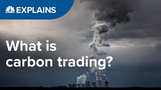 What is carbon trading  CNBC International [upl. by Akitan]