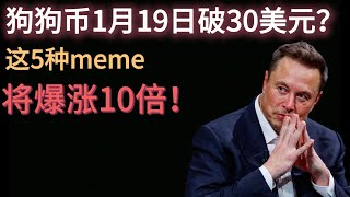 狗狗币1月19日破30美元？这5种meme将爆涨10倍！ [upl. by Caputo436]