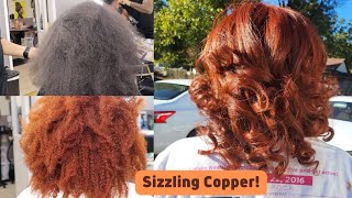 Salonwork From Natural Black to Sizzling CopperWith NO Bleach  Beauty Desis Way [upl. by Aidualc23]