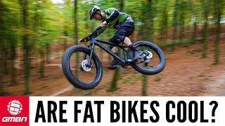 Are Fat Bikes Cool [upl. by Alleynad]