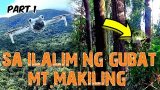 part 01ITO PALA ANG MAKIKITA SA GITNA NG MOUNT MAKILING😲NAKAKAMANGHA [upl. by Einnaej347]