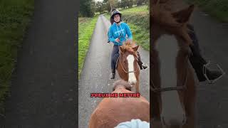 Le seul sport où on ne te jugera pas avec cette phrase 🤣🤣🤣 equitation equestrian [upl. by Burner]