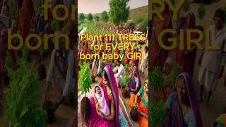 Indian Facts  Fact5 111 Trees for EVERY born girl shorts india facts [upl. by Malca]