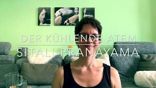 Der kühlende Atem Sitali Pranayama mit Kiria Vandekamp [upl. by O'Neill]