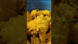 Garland Making ideasdecorationdiy festivalgarlandflower flowerdecorationviralvideo shorts [upl. by Jacobah]