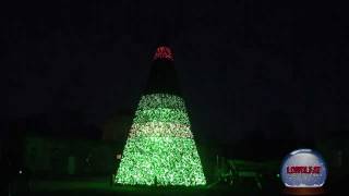 UKs First Singing Christmas Tree at Longleat [upl. by Eran]