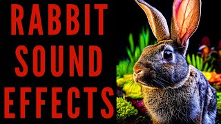 RABBIT SOUND EFFECTS  Rabbit Sound Bites [upl. by Annayram]