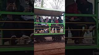 Educational tour with a steam train at the Madukismo sugar factory steamtrain shorts trainsindo [upl. by Naig]