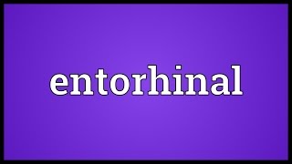 Entorhinal Meaning [upl. by Nadual755]