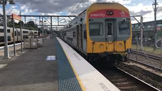 NSW Trains Vlogs 49 Flenmington [upl. by Suiramad45]