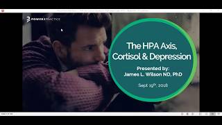 HPA Axis Cortisol amp Depression with Dr James Wilson [upl. by Asiil]