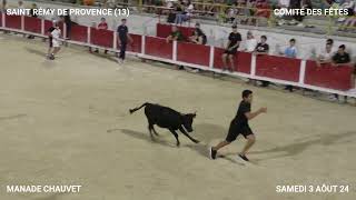 TORO PISCINE DE SAINT RÉMY DE PROVENCE AVEC LA MANADE CHAUVET DU SAMEDI 3 AOUT 24 [upl. by Houghton795]