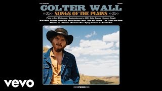 Colter Wall  Wild Dogs Audio [upl. by Yesrod480]